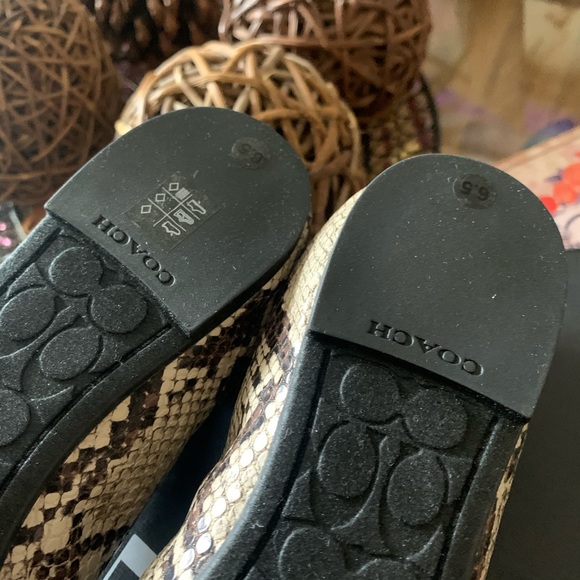 Coach Bailey Ballet Flats - Picture 10 of 13